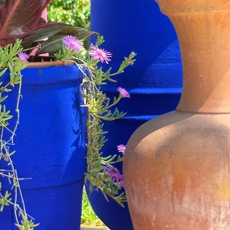 לינה וארוחת בוקר La Rose בליי